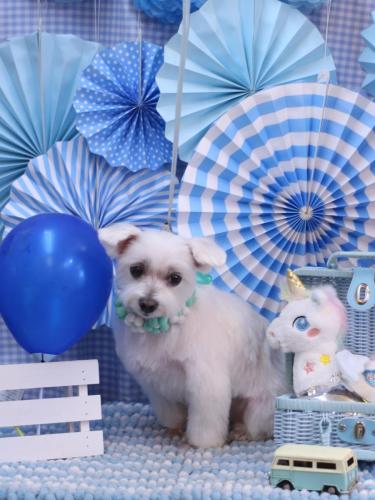 20231125ヒメちゃん